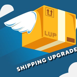 Shipping Upgrade ( Express )