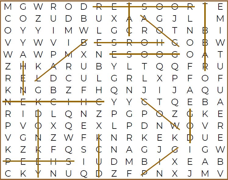 Kids Word Search 10 Word Search Sheets & Answer Key | Etsy