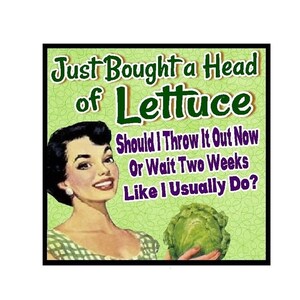 Funny Office Gifts Retro Magnet Bought A Head Of Lettuce Office Decor