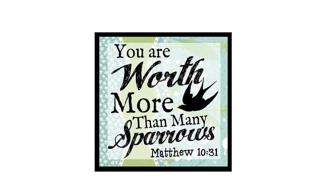 Christian Gifts Bible Verse Magnet You Are Worth More Than Many ...