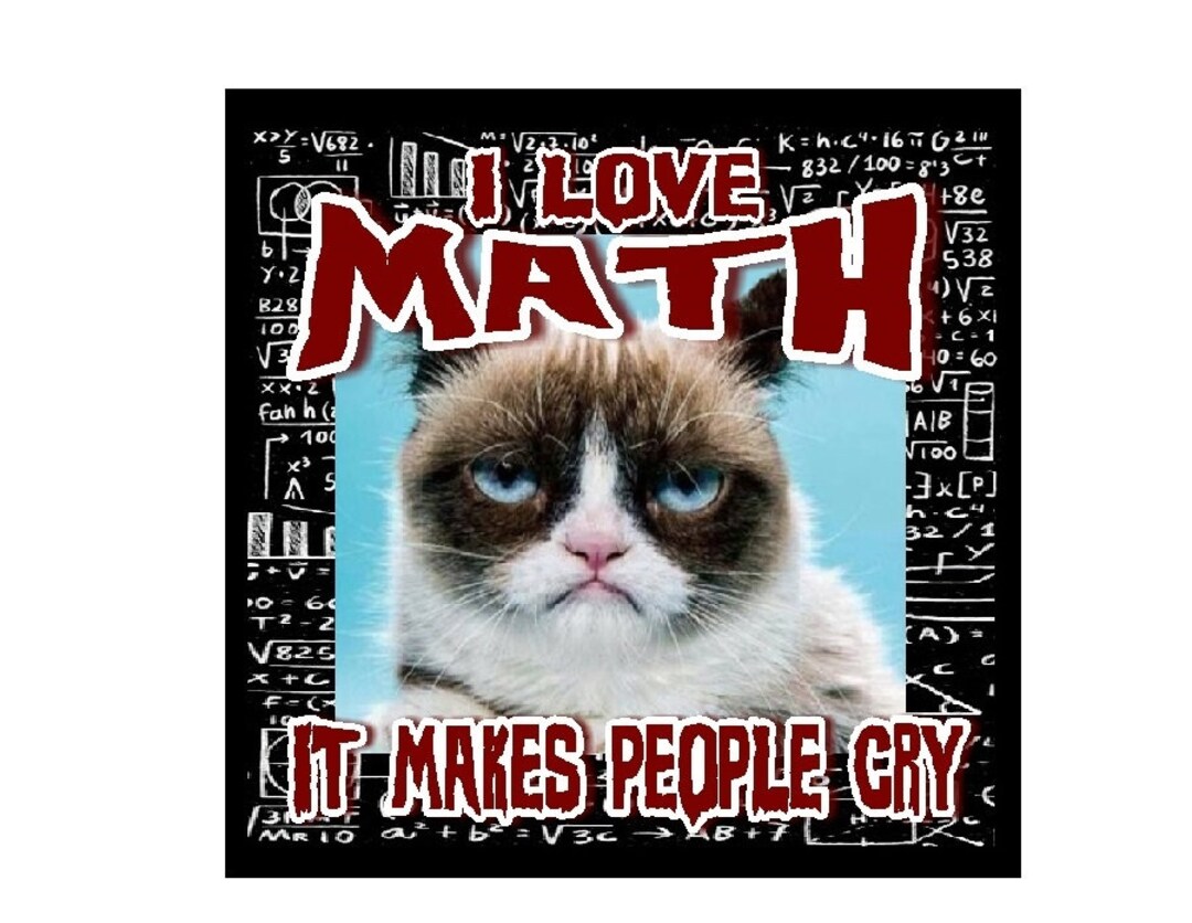 Funny Teacher Gift Grumpy Cat Math Makes People Cry - Etsy