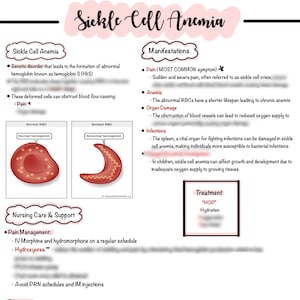 Sickle Cell Anemia | 2 Pages Nursing Notes | NCLEX Review | Digital ...