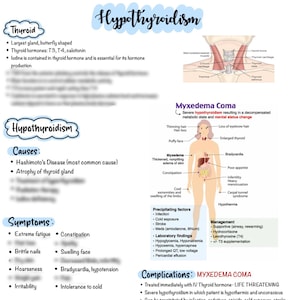 Hypothyroidism & Hyperthyroidism | Endocrine Disorders
