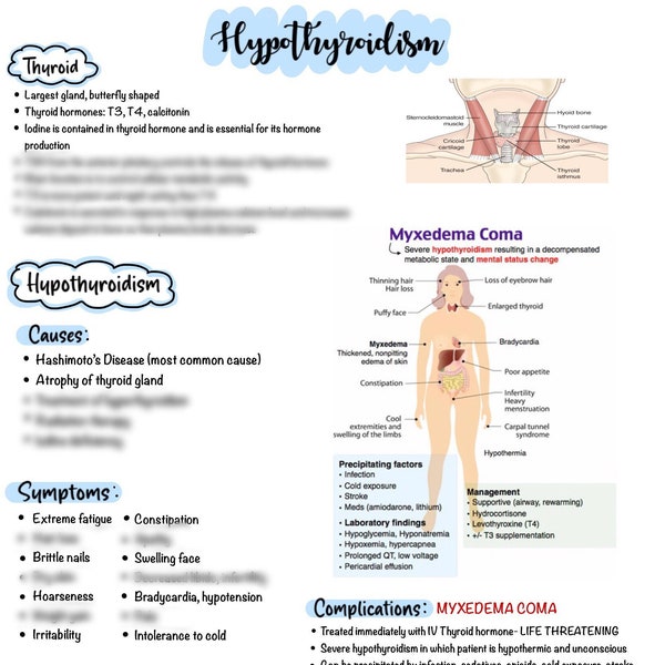 Hypothyroidism & Hyperthyroidism | Endocrine Disorders