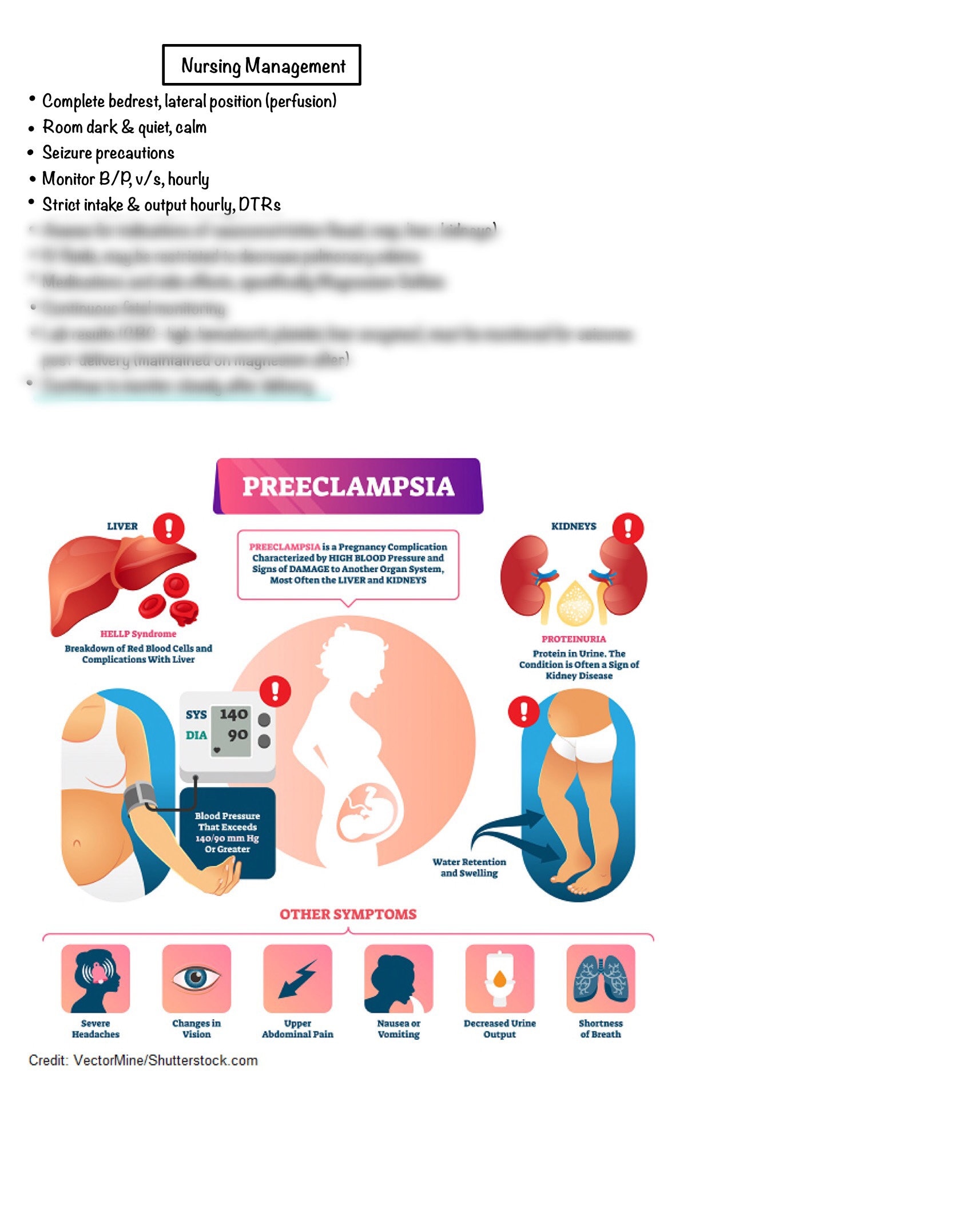 Preeclampsia OB & Maternity Nursing Notes 3 PAGES Digital Download PDF