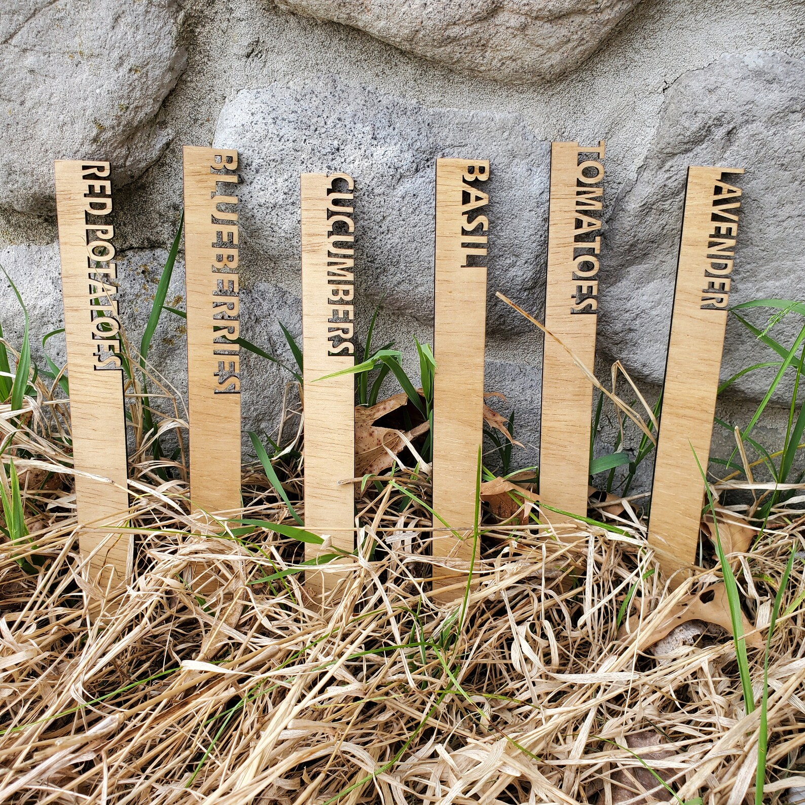 Plant Markers Plant Labels Garden Decor Garden Markers Etsy