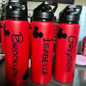 Mickey Inspired Water Bottle