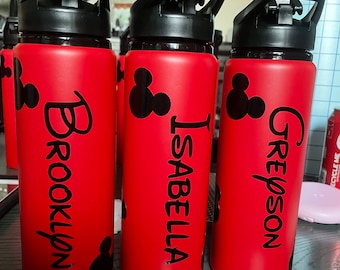 Mickey Inspired Water Bottle