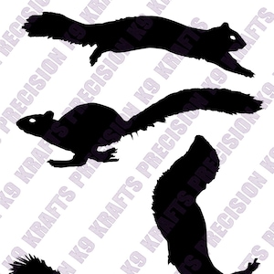 écureuils, course, chasse, petit gibier, SVG, Ai, PDF, PNG, couper fichier, vecteur, clipart,
