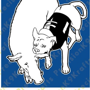 American Bulldog catchdog, hog, feral pig,
