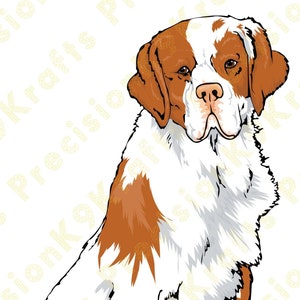 Clumber Spaniel sit