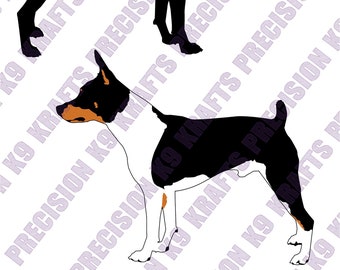 Rat Terrier, Terrier, SVG, Ai, PDF, PNG, cut file, vector, clip art, Cut File,