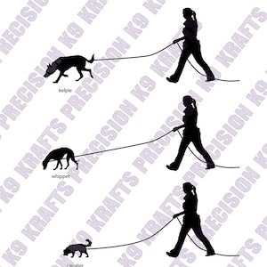Bijhouden, man volgen, geurwerk, neuswerk, SVG, PNG, Ai, PDF, Clipart, vector kunst, Dxf, Kelpie, Whippet, Cavalier