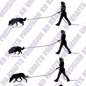 Tracking, man trailing, geurwerk, neuswerk, SVG, PNG, Ai, PDF, Clipart, vector kunst, Dxf, Border collie, Mechelaar, Australische herder