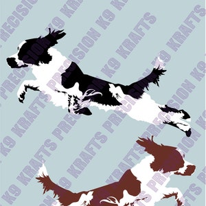 English Springer Spaniel, Springer, spaniel, dock jumping, water dog,