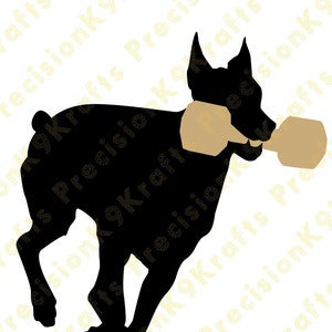 Doberman z hantlami