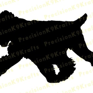 Black Russian Terrier Gaiting