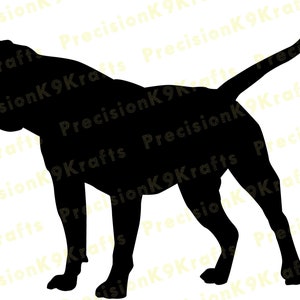 Classic American Bulldog