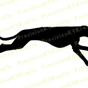 Whippet de course