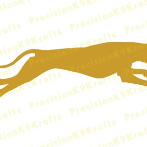 Pharaoh Hound Coursing
