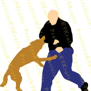 Malinois engaging Decoy