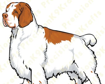 Clumber Spaniel, Vector, Illustration, clip art