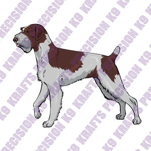 German Wirehaired pointer, hunting, retriever, dxf, svg, eps, png,