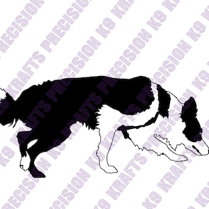 Tracking, manvolging, geurwerk, neuswerk, SVG, PNG, Ai, PDF, Clipart, vectorkunst, dxf, border collie,