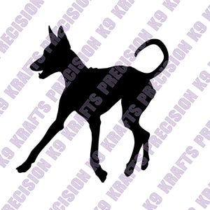 Trotting, Ibizan hound, Sighthound, Dxf, Svg, Eps, Png
