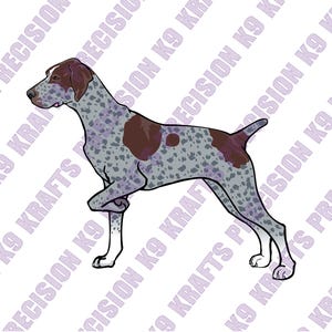 May include: A digital illustration of a German Shorthaired Pointer dog in a standing pose. The dog has a gray and brown spotted coat, with a brown head and patches. The dog is facing left, with one leg raised.