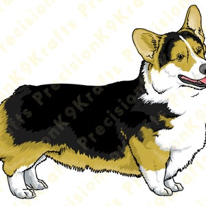 Pembroke Walisische Corgis