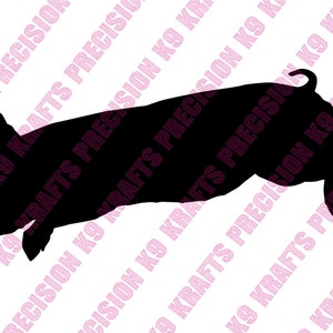 maialino, scrofa, maiale, maiale, maiale, salto, PNG, Ai, PDF, Clipart, arte vettoriale, file tagliato,