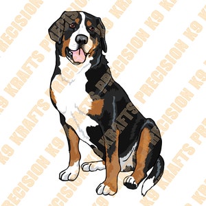 Greater Swiss Mountain Dog, Swissie