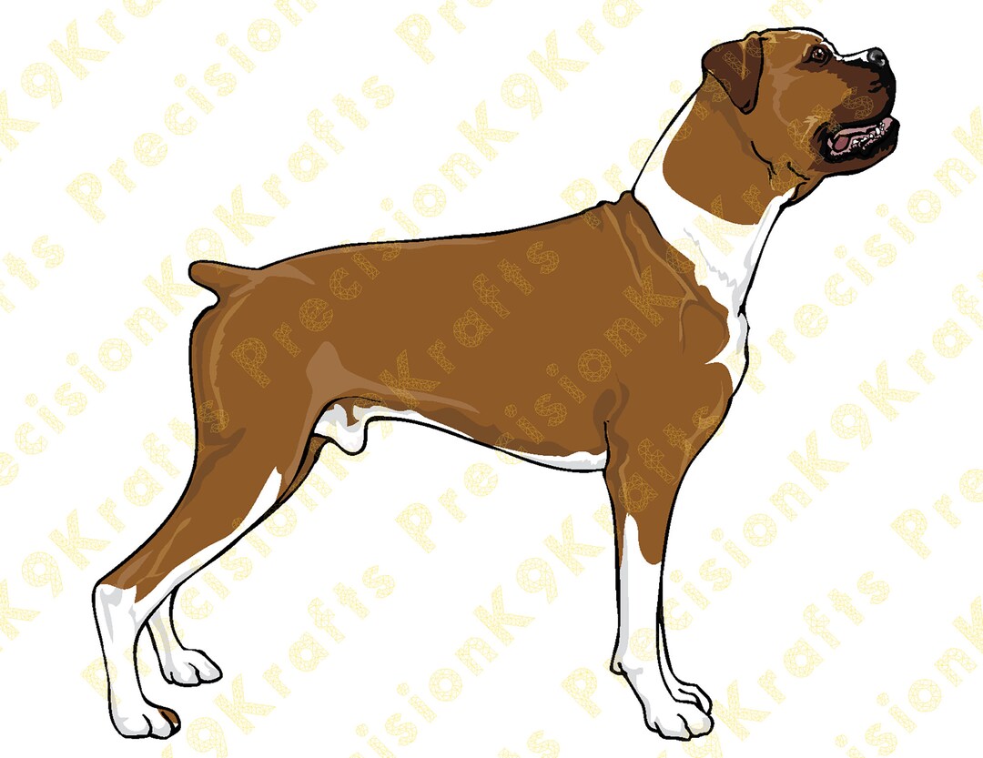 Boxer, Working Dog, Mastiff, Australia