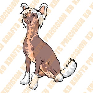 Chinese Crested dog, hairless dog, DXF, SVG, eps, ai, png