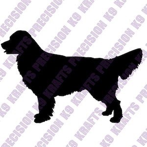 Conformation stacked, Golden Retriever, Golden, Show Dog, dxf