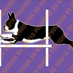 Boston Terrier, Boston, American Gentleman, behendigheid, springen, springen, atletisch, SVG, png, ai, pdf,