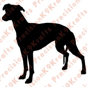 Whippet, lévrier, DXF, SVG, eps, ai, eps