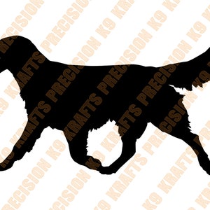 Flat Coated Retriever, cão de caça, caça, vetor, PNG, Ai, PDF, DXF
