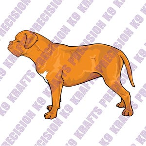 May include: A digital illustration of a Dogue de Bordeaux dog in a standing pose. The dog is depicted in shades of orange and brown, with a white patch on its chest. The image has a clean, graphic style.
