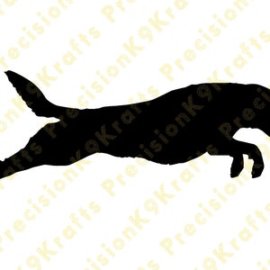 Labrador Retriever, Lab, Water dog, dock jumping, svg