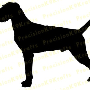 German Wirehaired Pointer Stacked