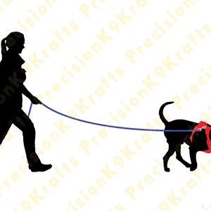 Lady tracking met labrador, speuren, geleider, geurwerk,