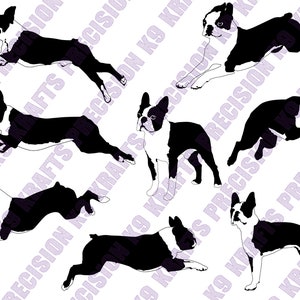 Boston Terrier, Boston, American Gentleman, Agilität, Sprung, Athletisch, SVG, PNG, Ai,