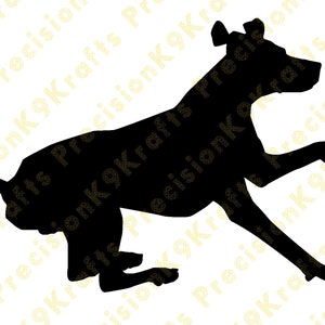 German shorthaired pointer, GSP, dock jumping, svg