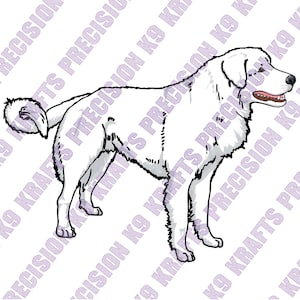 Akbash Dog, Livestock dog, guardian breed, dxf, svg, png