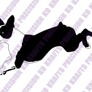Boston Terriër, Boston, Amerikaanse gentleman, behendigheid, springen, atletisch, SVG, PNG, Ai,