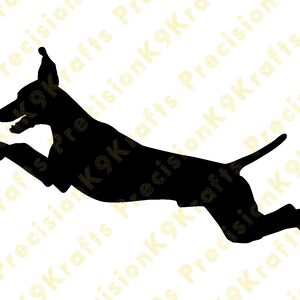 vizsla, salto de muelle, deportes acuáticos, svg,