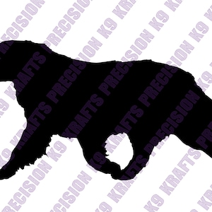 Gaiting Australian Shepherd, Aussie, eps, png, svg, ai, dxf