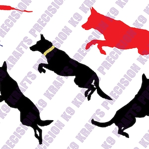 Dutch shepherd, Dock Jumping, svg, eps, png, ai, dxf